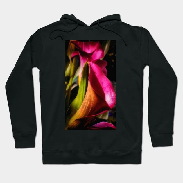 Calla Lily In Bloom Hoodie by JimDeFazioPhotography